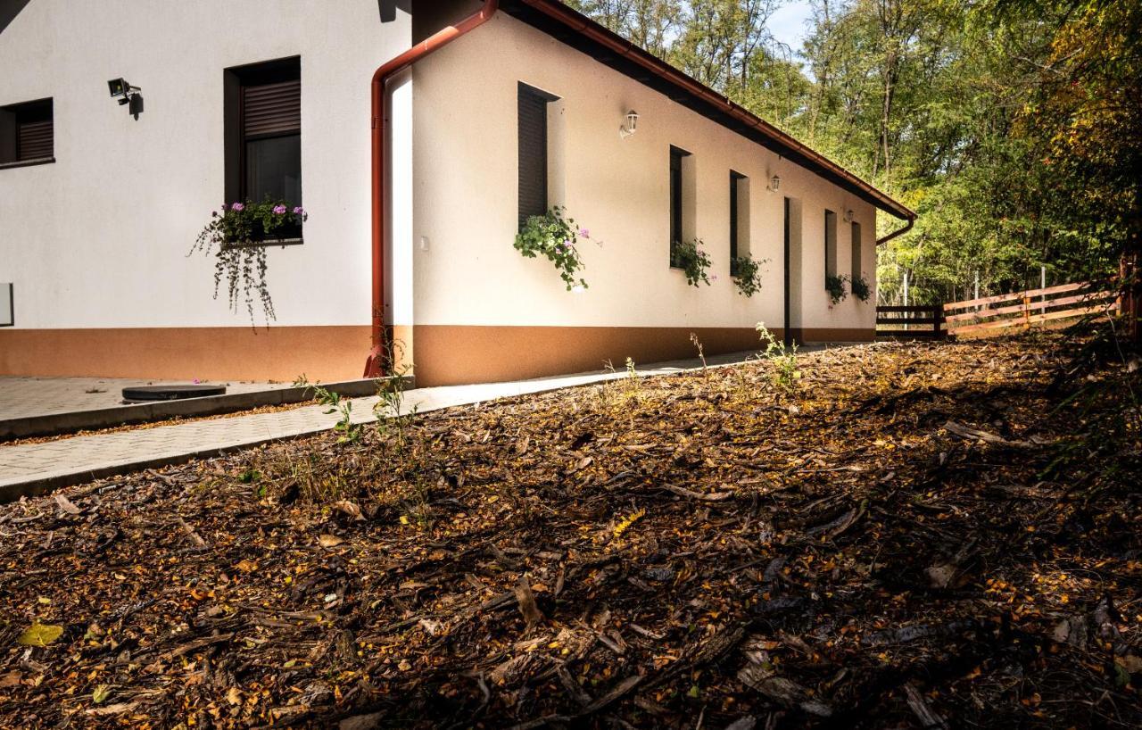 Bagosi vendégház Hajdubagos Exterior foto
